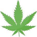 cannabisheaderyyg