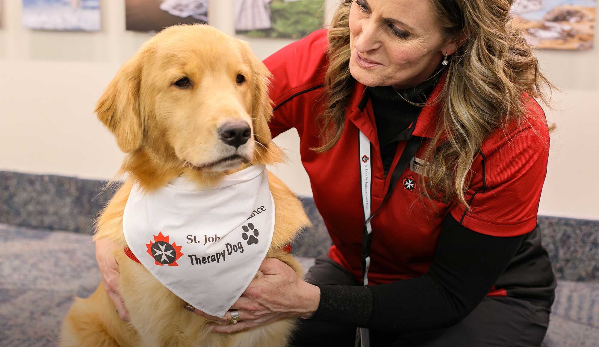 Chien de thérapie de la St. John Ambulance
